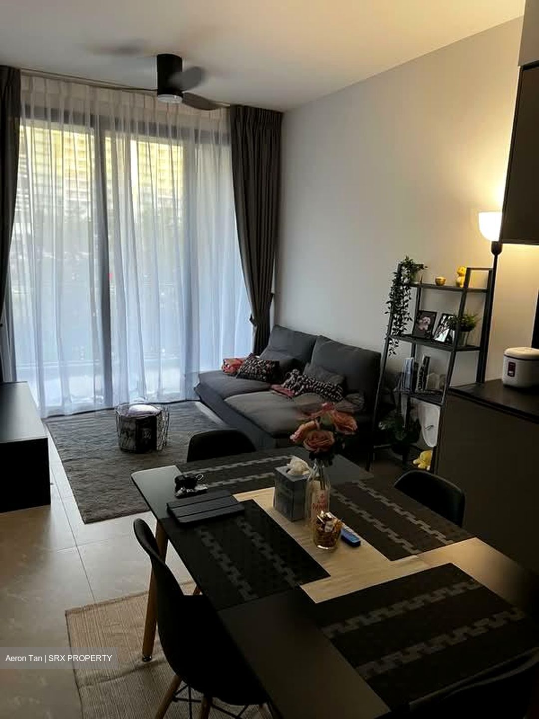 Park Colonial (D13), Condominium #539449801